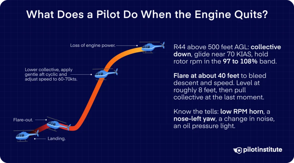 Helicopter engine failure procedure infographic showing collective down, glide, flare, and cushioned touchdown — Pilot Institute