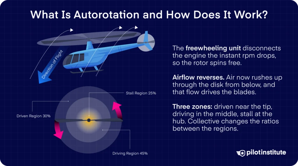 Autorotation infographic showing the driven, driving, and stall regions of the rotor disk in vertical autorotation — Pilot Institute